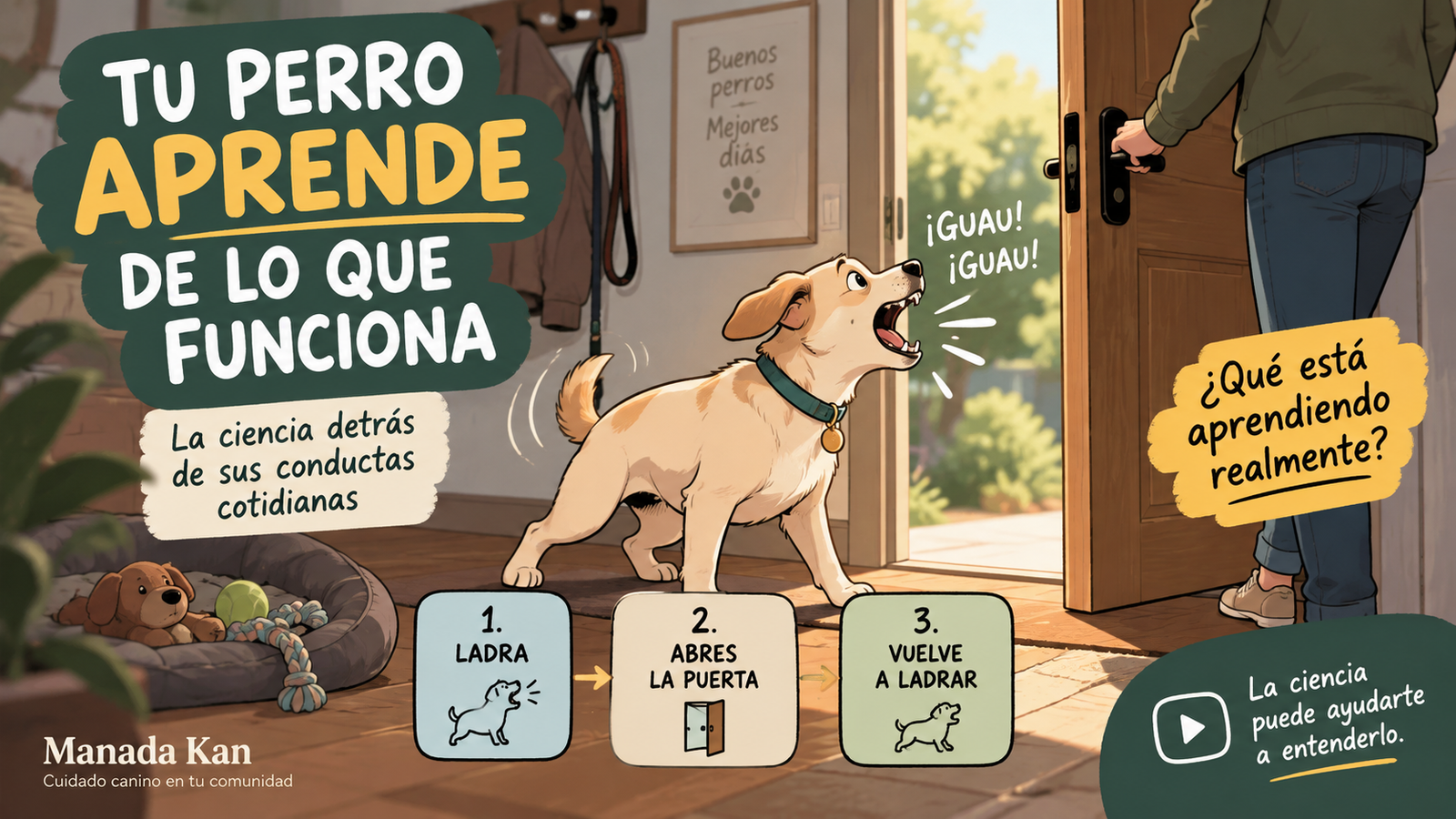 Tu perro aprende de lo que funciona: cómo las consecuencias cambian su conducta